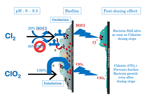 Chlorine Dioxide System Diagram